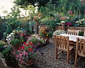 TABLE & CHAIRS ON TERRACE SURROUNDED BY CONTAINERS OF PETUNIAS IMPATIENS PELARGONIUMS ETC. DESIGNER: JO PASSMORE