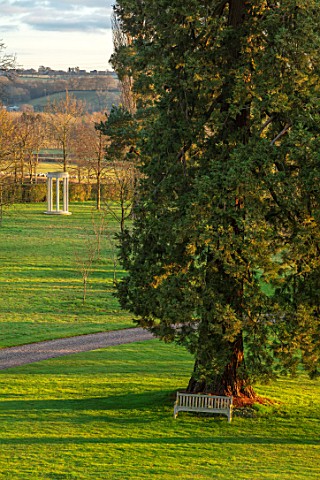 MORTON_HALL_GARDENS_WORCESTERSHIRE_LAWN_MEADOW_PARKLAND_FROM_ROOF_OF_HALL_SEQUOIADENDRON_GIGANTEUM_W