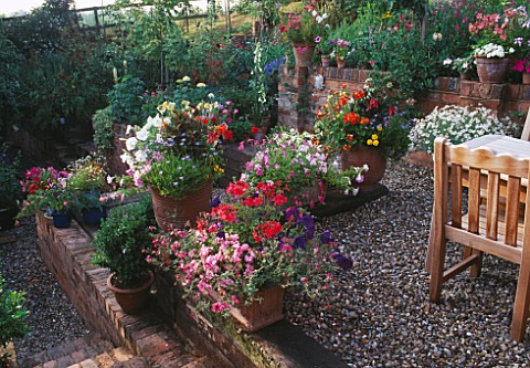 TABLE__CHAIRS_ON_TERRACE_SURROUNDED_BY_CONTAINERS_OF_PETUNIAS_IMPATIENS_PELARGONIUMS_ETC_DESIGNER_JO