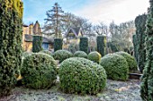 BRYANS GROUND, HEREFORDSHIRE - CLIPPED TOPIARY IN THE SUNK GARDEN, HEDGES, HEDGING, FROST, FROSTY, WINTER, IRISH YEWS, FORMAL