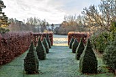 BRYANS GROUND, HEREFORDSHIRE: THE DOVECOTE GARDEN - EIGHT CLIPPED YEW TOPIARY OBELISKS, HA HA, VIEW OUT TO COUNTRYSIDE, ENGLISH, GARDEN, BEECH, HEDGES, HEDGING, FROSTY