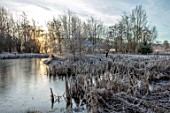 BRYANS GROUND, HEREFORDSHIRE: WINTER, LAKE, POOL, POND, BULLRUSHES, COUNTRY GARDEN, FROST, FROSTY