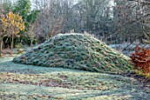 BRYANS GROUND, HEREFORDSHIRE: WINTER, VIEWING MOUND, COUNTRY GARDEN, FROST, FROSTY