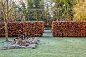 BRYANS GROUND, HEREFORDSHIRE: LAWN, FROST, FROSTY, WINTER, JANUARY, GARDEN, ORNAMENT, FORMAL, HEDGING, HEDGES, BEECH