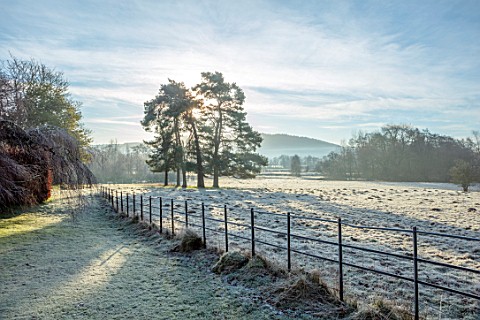 BRYANS_GROUND_HEREFORDSHIRE_VIEW_OUT_OF_GARDEN_TO_TREE_AND_HILLS_FROST_FROSTY_WINTER_JANUARY_GARDEN_