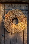 DESIGNER JACKY HOBBS - CHRISTMAS, WINTER, FRONT WOODEN, DOOR, WREATH, SEED HEADS OF ALLIUMS AND TEASELS, DIPSACUS FULLONUM, BROWN, FORAGED, NATURAL, DECORATIONS