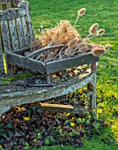 DESIGNER JACKY HOBBS - CHRISTMAS, WINTER, LAWN, TREE SEAT, BENCH, BOX WITH SEED HEADS OF ALLIUMS AND TEASELS, DIPSACUS FULLONUM, BROWN, FORAGED, NATURAL, DECORATIONS