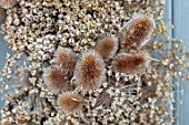 DESIGNER JACKY HOBBS - CHRISTMAS, WINTER, WREATH, SEED HEADS OF ALLIUMS, POPPIES, TEASELS, DIPSACUS FULLONUM, BROWN, FORAGED, NATURAL, DECORATIONS