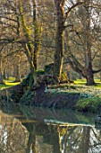 EYTHROPE, WADDESDON, BUCKINGHAMSHIRE: LAKE, WATER, REFLECTED, REFLECTIONS, GROTTO, SNOWDROPS, PARKLAND, TREES, WINTER, JANUARY, GALANTHUS
