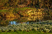 EYTHROPE, WADDESDON, BUCKINGHAMSHIRE: SNOWDROPS, PARKLAND, TREES, WINTER, JANUARY, GALANTHUS, LAKE, WATER, REFLECTIONS, REFLECTED, BENCH, SEAT, SEATING