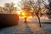 CHIPPENHAM PARK, CAMBRIDGESHIRE: FROSTED LAWN, CONTAINER, URN, WINTER, JANUARY, FROSTY, DAWN, SUNRISE