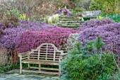 GRAVETYE MANOR, SUSSEX: WOODEN LUTYENS BENCH, SEAT, HEATHERS, STEPS, SLOPING, SLOPES, MARCH, WINTER, SPRING, PINK, FLOWERS