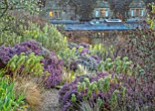 GRAVETYE MANOR, SUSSEX: PINK, WHITE, FLOWERS, HEATHERS, SLOPING, SLOPES, MARCH, WINTER, SPRING, EUPHORBIAS, LIME, GREEN