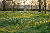 MORTON HALL GARDENS, WORCESTERSHIRE: DAFFODILS, NARCISSUS, MONOPTEROS, FOLLY, FOLLIES, MEADOW, PARKLAND, DAWN, MARCH, SPRING, BULBS