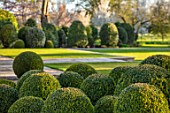 MORTON HALL GARDENS, WORCESTERSHIRE: CLIPPED TOPIARY BOX BALLS AND LAWN, SPRING, APRIL, BUXUS