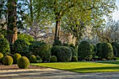 MORTON HALL GARDENS, WORCESTERSHIRE: CLIPPED TOPIARY BOX BALLS, AMELANCHIER PRINCES DIANA,  LAWN, SPRING, APRIL, BUXUS