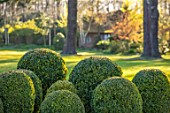 MORTON HALL GARDENS, WORCESTERSHIRE: CLIPPED TOPIARY BOX BALLS, LAWN, SPRING, APRIL, BUXUS