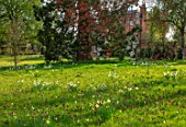 MORTON HALL GARDENS, WORCESTERSHIRE: SPRING, APRIL, MEADOW, NARCISSUS, DAFFODILS, SNAKES HEAD FRITILLARIES