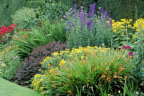 HERBACEOUS_BORDER_WITH_CROCOSMIA__ACONITUM_AND_BERBERIS_THUNBERGII_AT_ARLEY_HALL__CHESHIRE