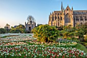 ARUNDEL CASTLE GARDENS, WEST SUSSEX: LABYRINTH OF TULIPS AND DAFFODILS - TULIPA PURPLE DREAM, TULIPA RED APELDOORN, NARCISSUS THALIA, SPRING, APRIL, BULBS, LAWNS