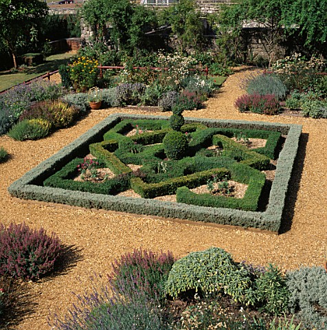 THE_FORMAL_KNOT_OF_BOX_IN_THE_TUDOR_HOUSE_GARDEN__SOUTHAMPTON__HAMPSHIRE