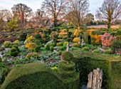 THE LASKETT GARDENS, HEREFORDSHIRE. DESIGNER ROY STRONG - THE SERPENTINE WALK - MAGNOLIA, ACER GRISEUM, PATHS, CLIPPED, TOPIARY, BOX, HOLLY, ILEX, BUXUS, SPRING, APRIL, YEW HEDGING