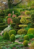 THE LASKETT GARDENS, HEREFORDSHIRE. DESIGNER ROY STRONG - THE SERPENTINE WALK, CLIPPED TOPIARY HOLLIES, YEW, SPRING, APRIL, HEDGES, HEDGING, GREEN