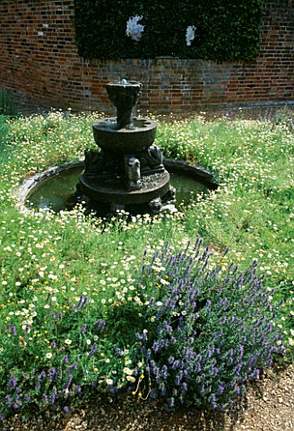 FOUNTAIN_IN_THE_CENTRE_OF_CAMOMILE_LAWN_IN_FLOWER_AT_THE_TUDOR_HOUSE_GARDEN__SOUTHAMPTON__HAMPSHIRE