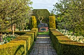 THE LASKETT GARDENS, HEREFORDSHIRE. DESIGNER ROY STRONG - VIEW, VISTA, CLIPPED TOPIARY YEW HEDGES, HEDGING, CHILSTONE STAG, DAFFODILS, THE CHRISTMAS ORCHARD, APRIL, SPRING