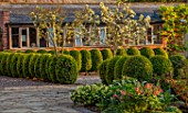 MORTON HALL GARDENS, WORCESTERSHIRE: HELLEBORES, CLIPPED TOPIARY BOX, BUXUS, GREEN, HEDGES, HEDGING, SPRING, APRIL