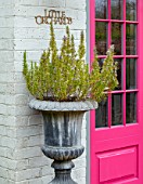 LITTLE ORCHARDS, SURREY, DESIGNER NIC HOWARD: THE FRONT OF THE HOUSE, PINK DOOR, SILVER METAL CONTAINERS, SPRING, APRIL, ROSEMARY