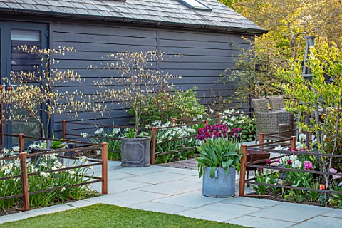 LITTLE_ORCHARDS_SURREY_DESIGNER_NIC_HOWARD_SPRING_APRIL_COURTYARD_METAL_CONTAINERS_WITH_TULIPA_RONAL