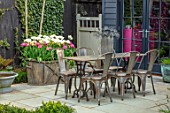 LITTLE ORCHARDS, SURREY, DESIGNER NIC HOWARD: HOME OFFICE, CLIPPED BOX HEDGES, HEDGING, TABLE, CHAIRS, METAL CONTAINER WITH TULIPS, SPRING, APRIL, PATIO, COURTYARD