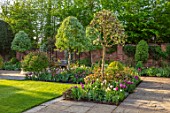 MORTON HALL GARDENS, WORCESTERSHIRE: TULIPS AND FOUNTAIN IN THE SOUTH GARDEN, APRIL, SPRING, PATHS, MORNING LIGHT, LAWN