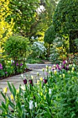 MORTON HALL GARDENS, WORCESTERSHIRE: TULIPS IN THE SOUTH GARDEN, APRIL, SPRING, PATHS, MORNING LIGHT, TULIPA SPRING GREEN, TULIPA SAPPORO