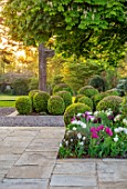 MORTON HALL GARDENS, WORCESTERSHIRE: BORDER WITH TULIPS, CLIPPED TOPIARY BOX BALLS, WHITE HORSE CHSETNUT, MORNING LIGHT, DAWN, SPRING, APRIL