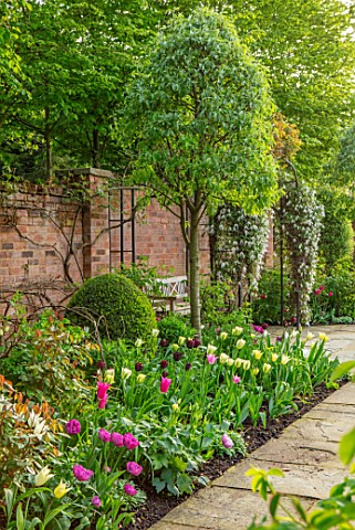 MORTON_HALL_GARDENS_WORCESTERSHIRE_THE_SOUTH_GARDEN_LAWN_BORDER_WITH_TULIPS_SPRING_APRIL_WALLED_GARD