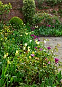 MORTON HALL GARDENS, WORCESTERSHIRE: TULIPS IN THE SOUTH GARDEN, APRIL, SPRING, PATHS, MORNING LIGHT