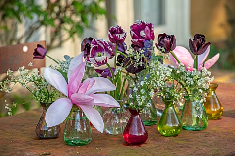 DESIGNER_ANGELA_COLLINS_RED_AND_GREEN_GLASS_JARS_CONTAINERS_ON_TABLE_WITH_MAGNOLIA_AND_TULIPS_FLOWER