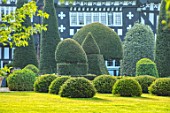 HALL O TH WOOD, CHESHIRE: HOUSE, LAWN, SPRING, APRIL, CLIPPED, TOPIARY, SHAPES, GREEN, YEW, TAXUS