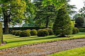 HALL O TH WOOD, CHESHIRE: HOUSE, LAWN, SPRING, APRIL, CLIPPED, TOPIARY, SHAPES, GREEN, YEW, TAXUS, LAWN, DRIVE