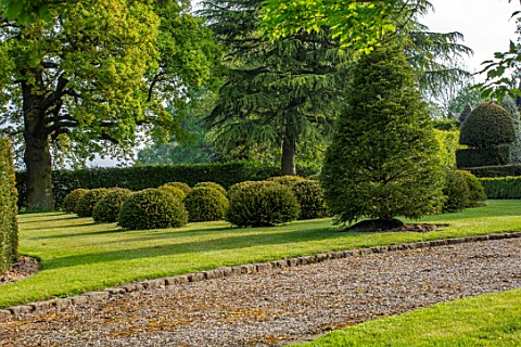 HALL_O_TH_WOOD_CHESHIRE_HOUSE_LAWN_SPRING_APRIL_CLIPPED_TOPIARY_SHAPES_GREEN_YEW_TAXUS_LAWN_DRIVE