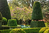 HALL O TH WOOD, CHESHIRE: SPRING, APRIL, CLIPPED, TOPIARY, SHAPES, GREEN, YEW, TAXUS
