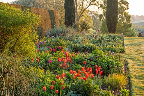 PETTIFERS_OXFORDSHIRE_SPRING_APRIL_EARLY_MORNING_DAWN_ENGLISH_COUNTRY_GARDEN_BORDER_WITH_ORANGE_FLOW