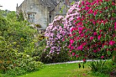 GRAVETYE MANOR, SUSSEX: COUNTRY GARDEN, APRIL, SPRING, RHODODENDRONS IN THE WOODLAND GARDEN WITH MANOR BEHIND, PINK, FLOWERS, FLOWERING, BLOOMING