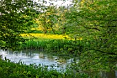 VILLAGE FARM HOUSE, GLOUCESTERSHIRE: MEADOW, SPRING, MAY, RIVER COLN, WATER, STREAM