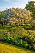 PETTIFERS, OXFORDSHIRE: DESIGNER GINA PRICE: SPRING, MAY, BORDER WITH ALLIUMS, WHITE FLOWERING BLOSSOMS, FLOWERS OF MALUS HUPEHENSIS
