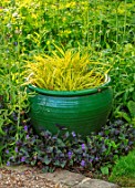 PETTIFERS, OXFORDSHIRE: DESIGNER GINA PRICE: GREEN GLAZED CONTAINER PLANTED WITH YELLOW FLOWERS OF HAKONECHLOA MACRA ALBOAUREA, GRASSES