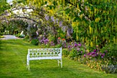 THE MANOR HOUSE, STEVINGTON, BEDFORDSHIRE: MAY, SPRING, WHITE BENCH, SEAT, LABURNUM VOSSII, ARCH, ALLIUM PURPLE SENSATION, ARCHWAY, TUNNEL, AVENUE, YELLOW, FLOWERING, CLIMBERS