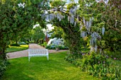 THE MANOR HOUSE, STEVINGTON, BEDFORDSHIRE: MAY, SPRING, WHITE BENCH, SEAT, WISTERIA, ARCHWAY, TUNNEL, AVENUE, BLUE, FLOWERS, CLIMBERS